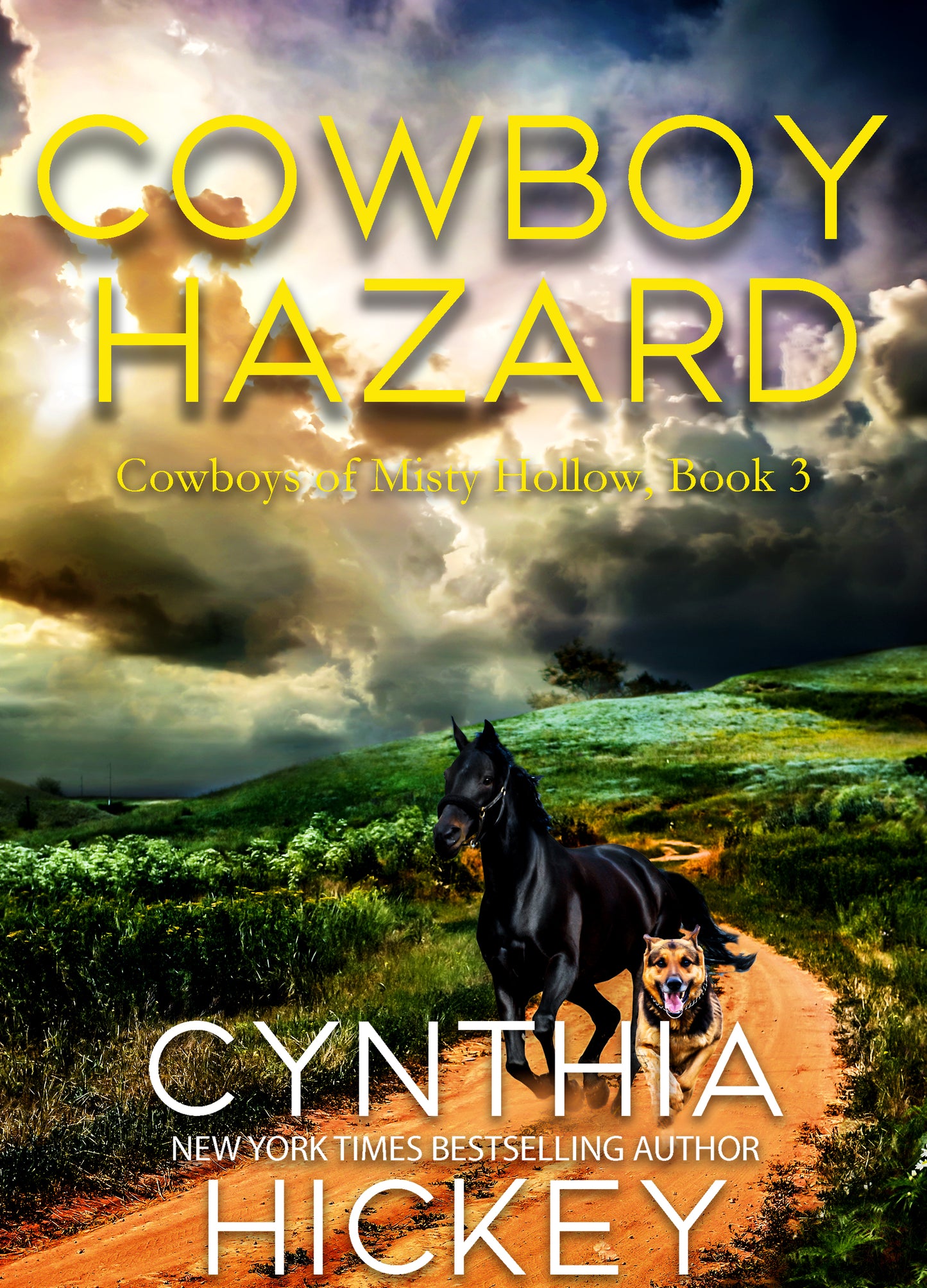 Cowboy Hazard