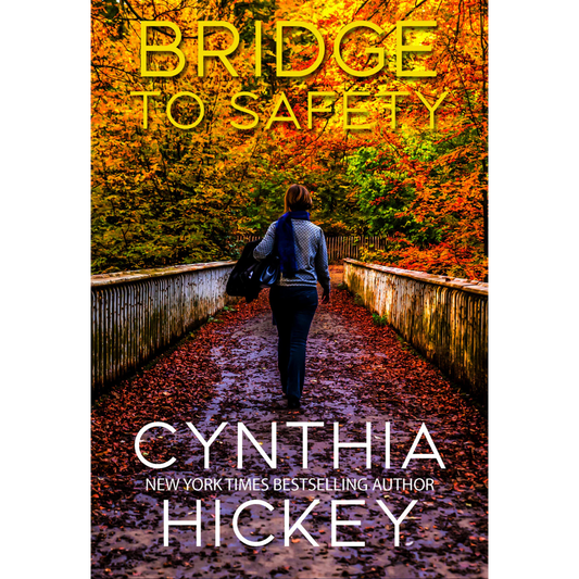 Bridge to Safety